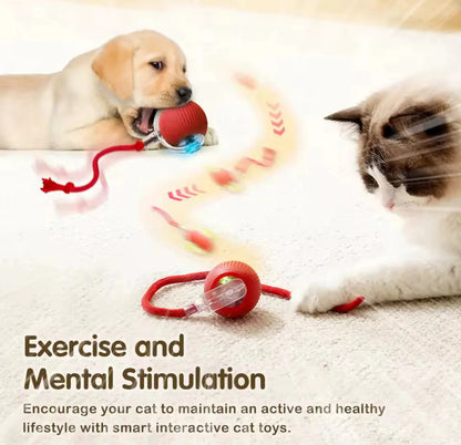 Cat&Dog toy ball cat&dog toy electric moving ball toy