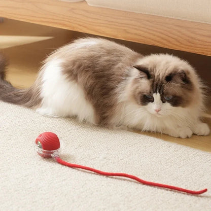 Cat&Dog toy ball cat&dog toy electric moving ball toy